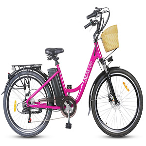Roberts Cycle